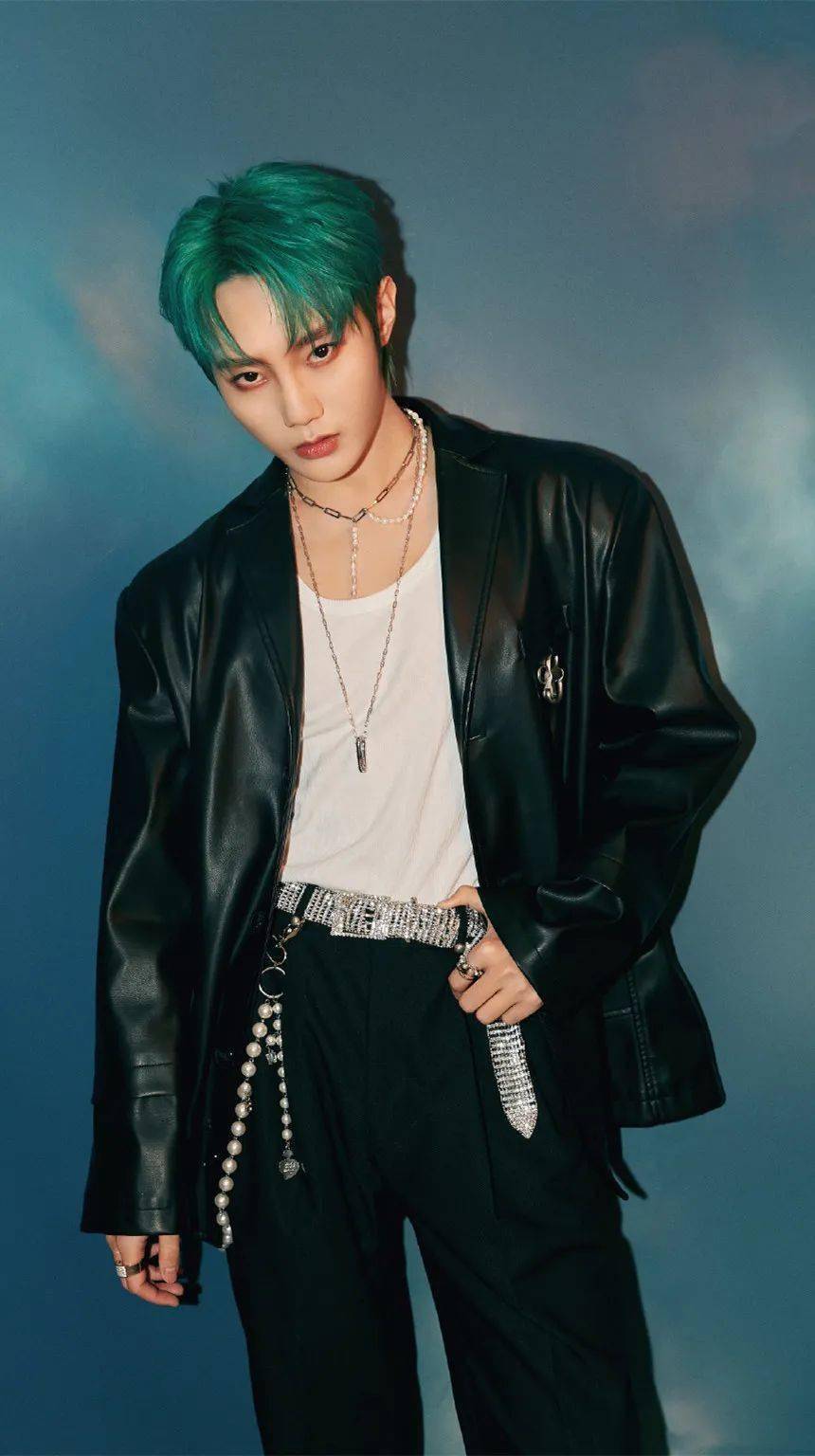 手机壁纸r1se刘也