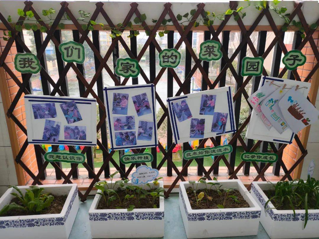 主题环创特色课程幼儿园充分利用地理优势,乡土资源,开展竹文化特色