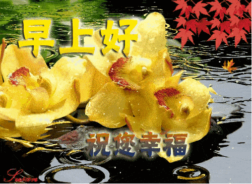 早上好问候祝福动态表情图片,早安问候语句子温馨