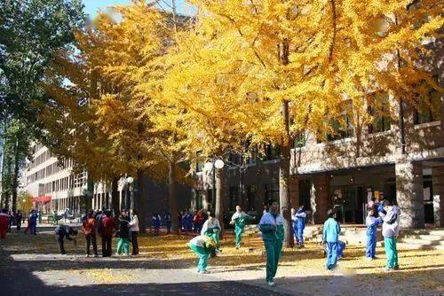 关注丨在北大附中就读是一种怎样的体验