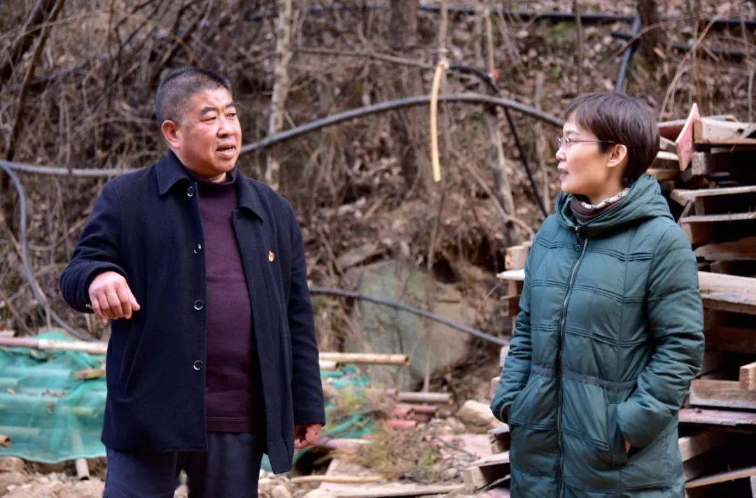 洛阳市发改委领导到栾川中职督查产教融合园项目建设情况