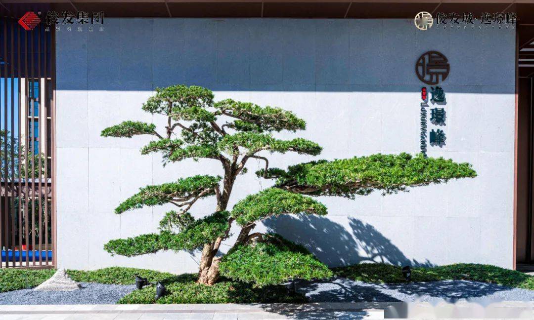 主入口的迎客松与沉稳大气的小区入口相得益彰,让人眼前一亮,作为开启