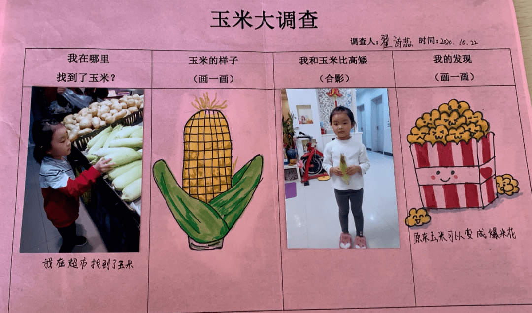 分发调查表,家长带领幼儿寻找生活中的玉米,与玉米比一比,带领幼儿去