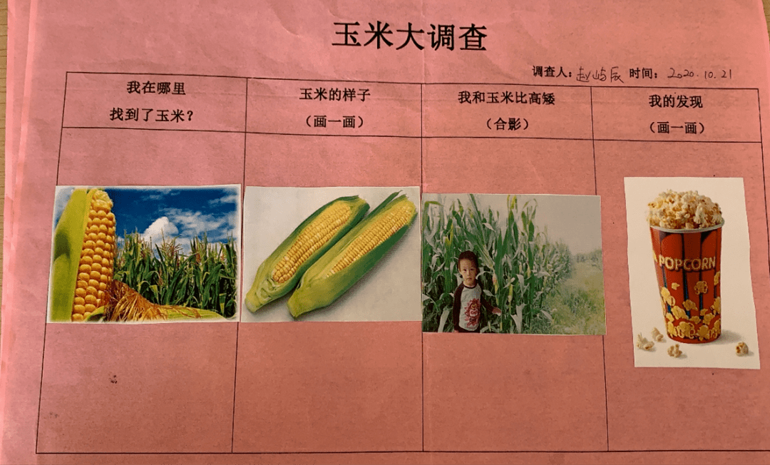 幼儿园主题玉米网络图图片