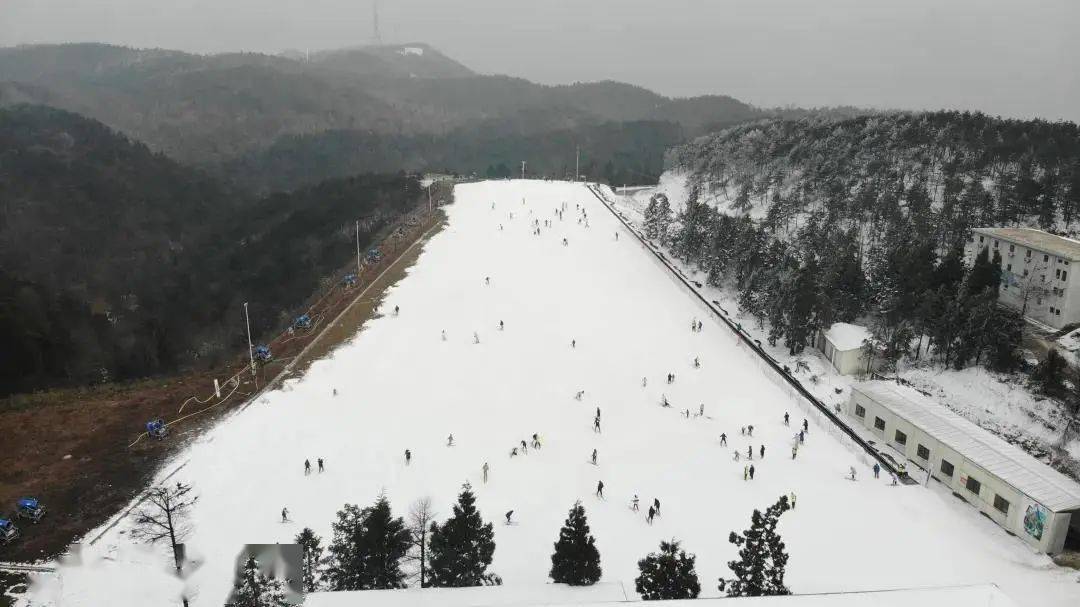 深化青田宁波山海协作奉化商量岗滑雪场开业了周末走起