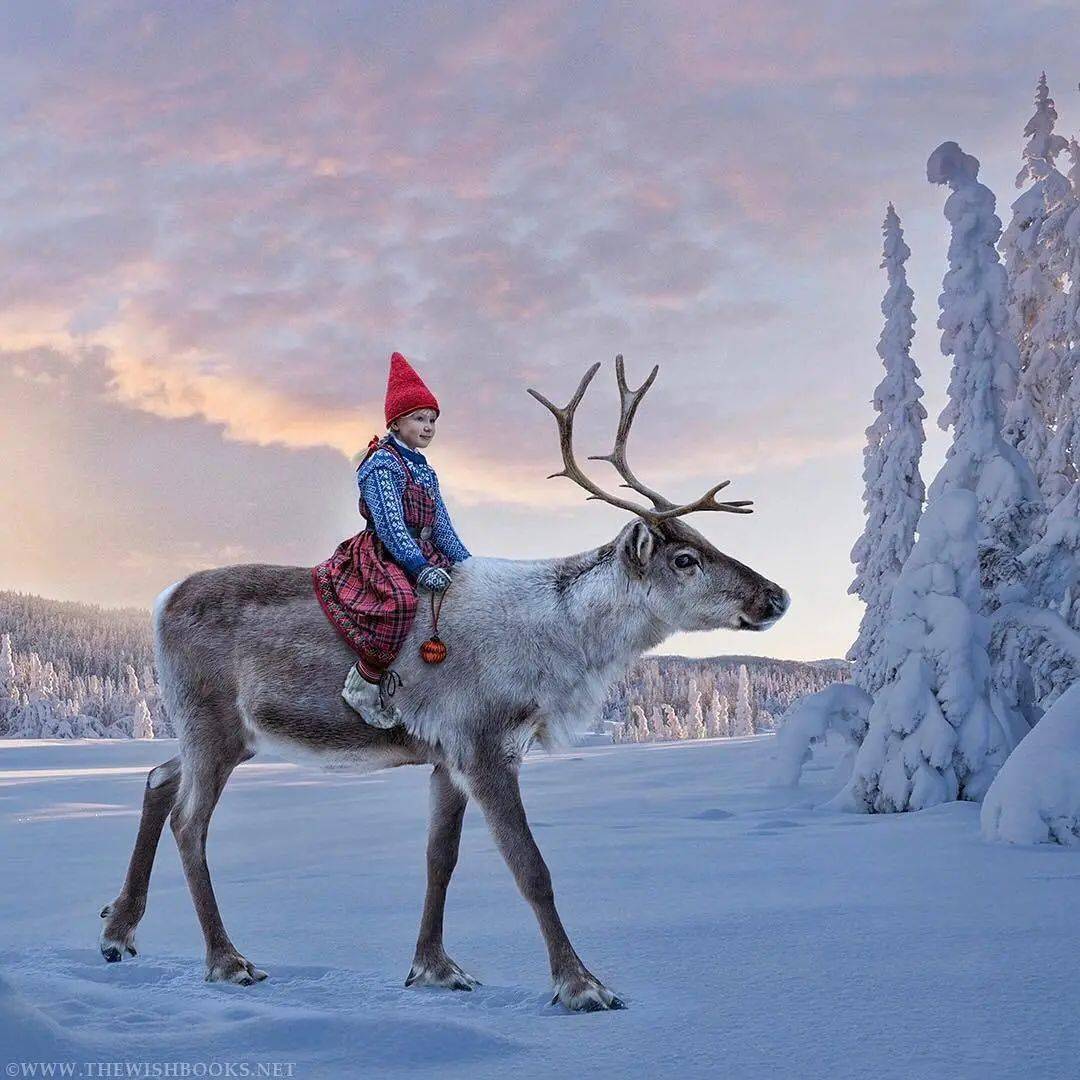 摄影我想看驯鹿在雪地奔跑的舞步