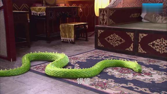 丈夫才知道妻子是一条千年雪蛟精