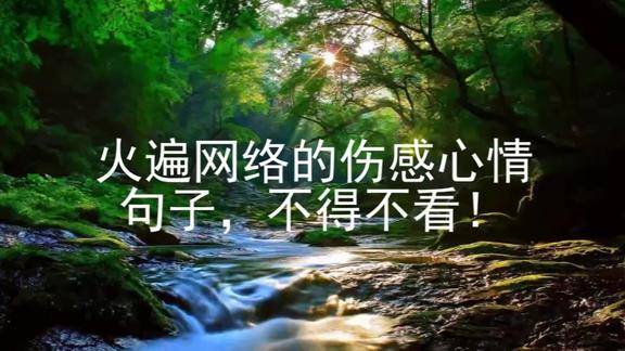 火遍网络的伤感心情句子不得不看