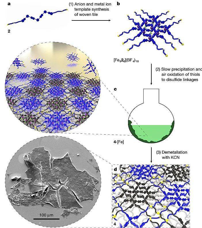 分子艺术 | Nature:从“中国结”到二维分子织物_网格
