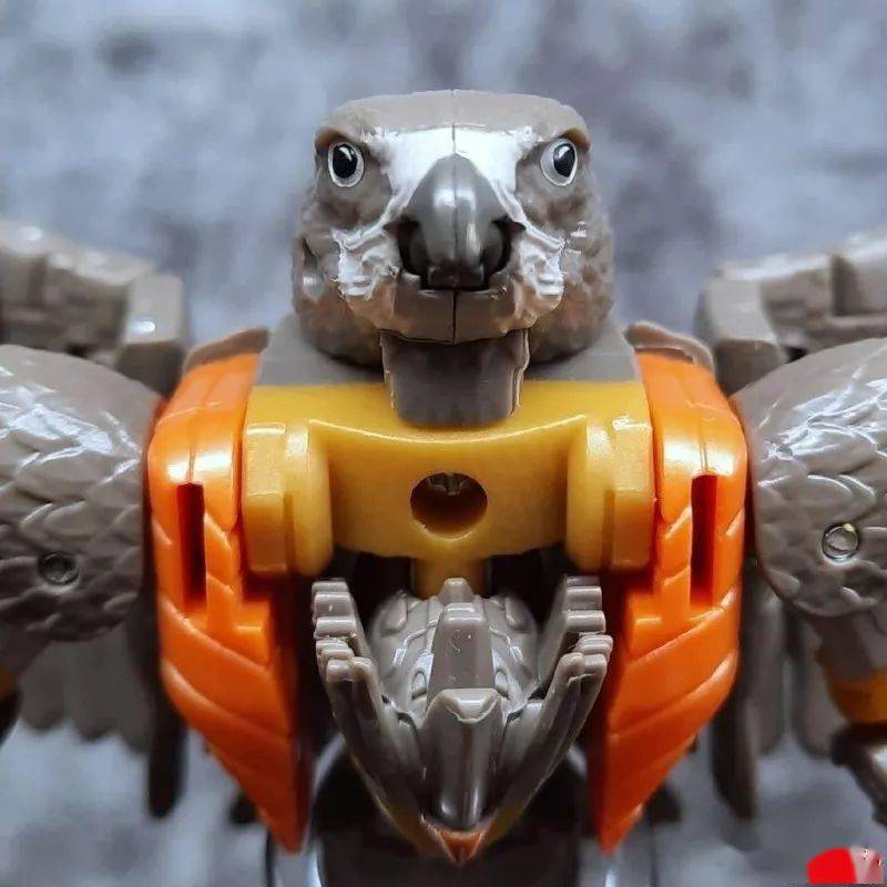 转载孩之宝变形金刚wfc王国系列飞箭勇士实物图