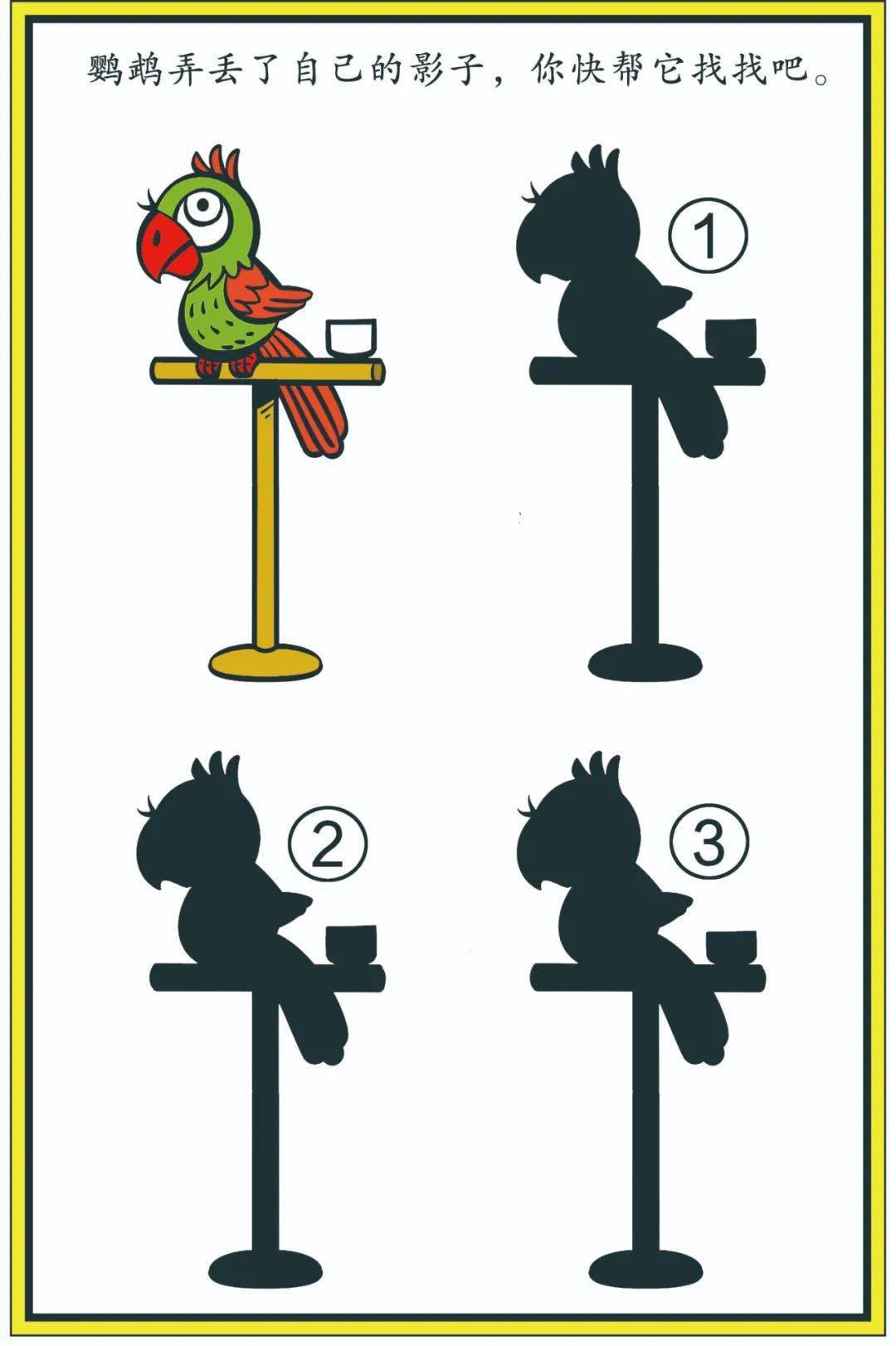 鹦鹉弄丢了自己的影子,帮它找找吧返回搜狐,查看更多平台声明:该文