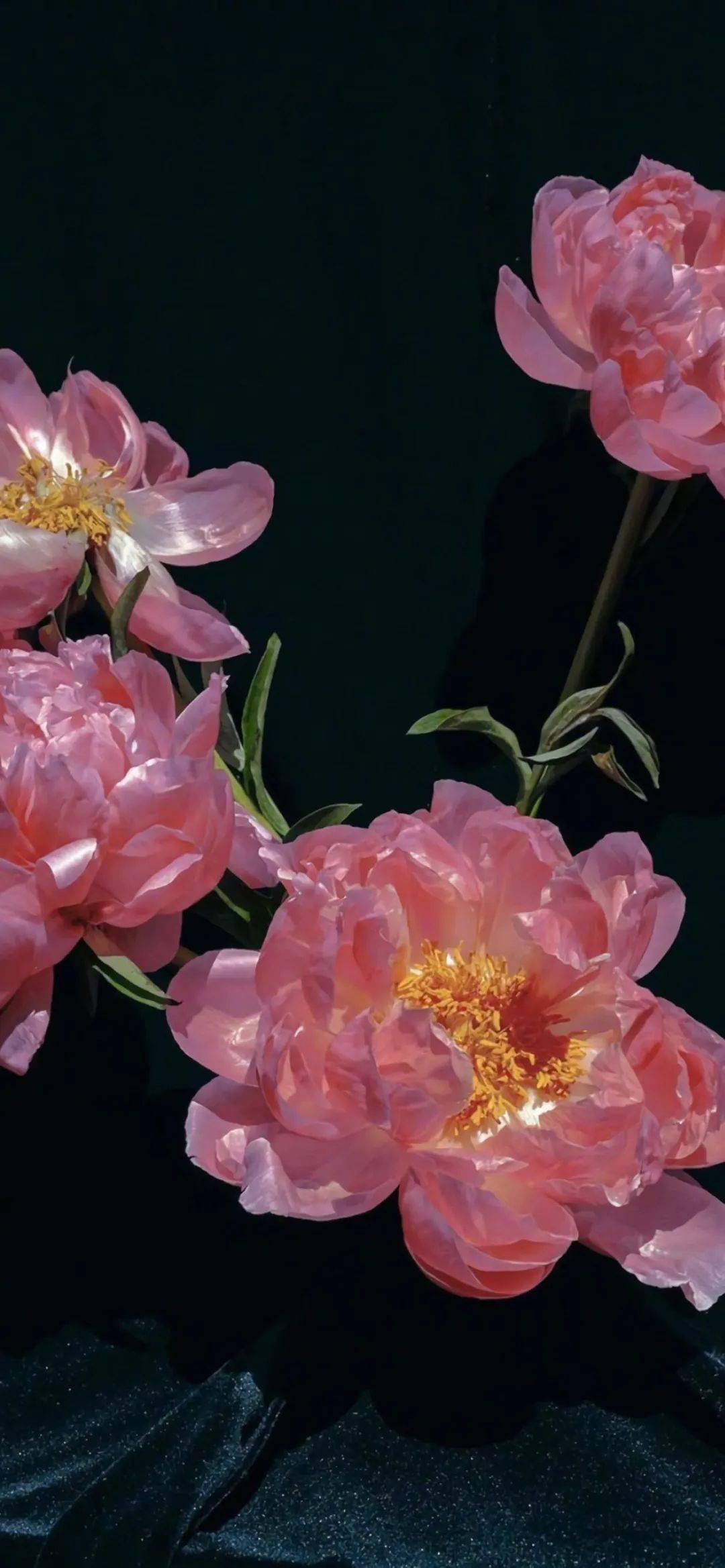 全面屏壁纸2021一起加油