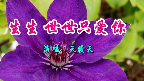 天籁天一首甜美情歌生生世世只爱你好听极了