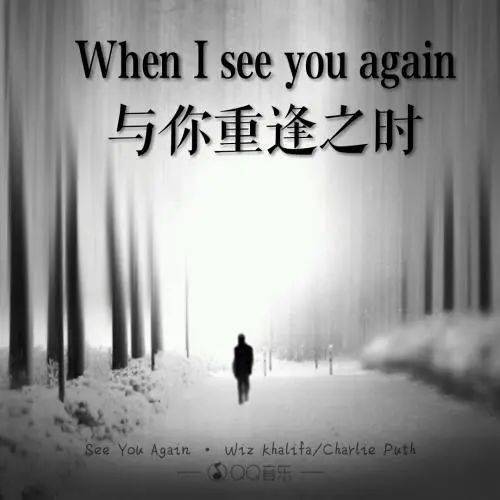 你点我播seeyouagain明年再见啦