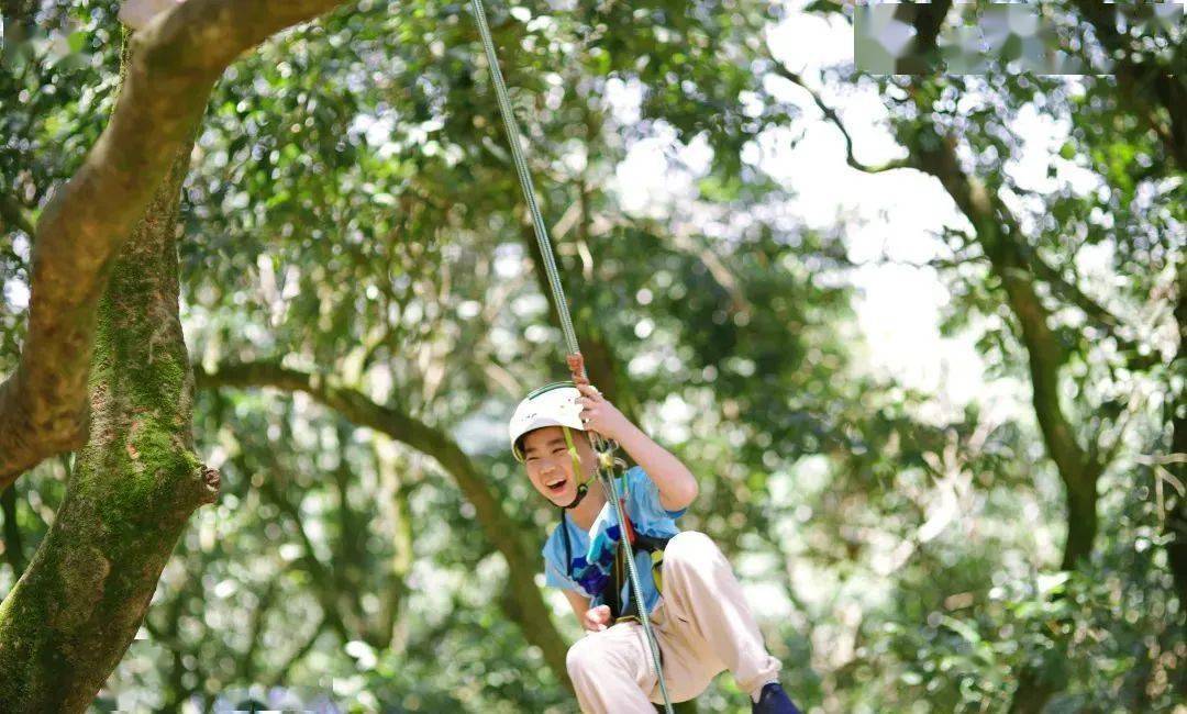 3天2晚丛林飞跃营丨与其羡慕别人的勇敢不如放手让他飞跃一回