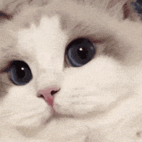 小丑竟是我自己凤舞九天葬爱家族封印松动了封印解封了贵族跳舞把话给