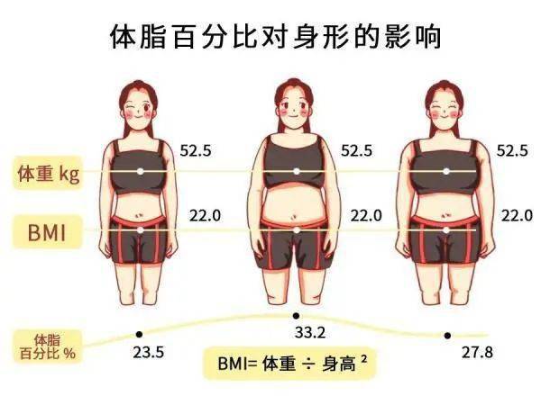女体脂率对照表体重图片
