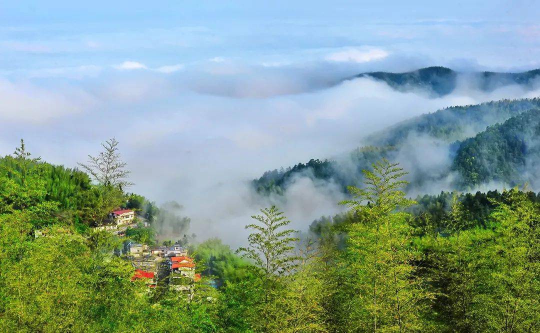 中国笋竹之乡,中国竹子之乡毕竟这里可是对于永安人确实寻常食物这一