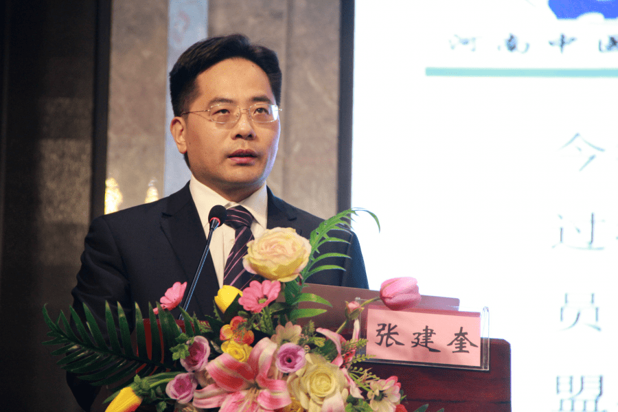 联盟学术委员会主任委员马丙祥教授向参会代表讲解了"儿童康复合作