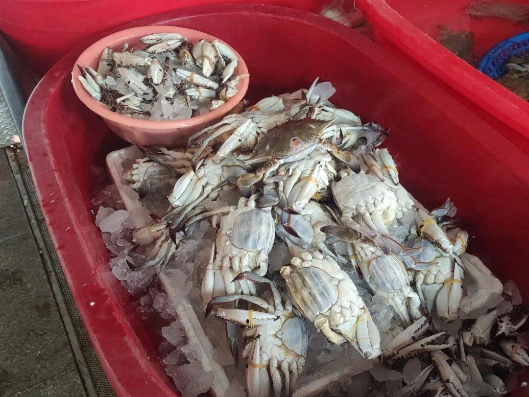 原因是……_螃蟹