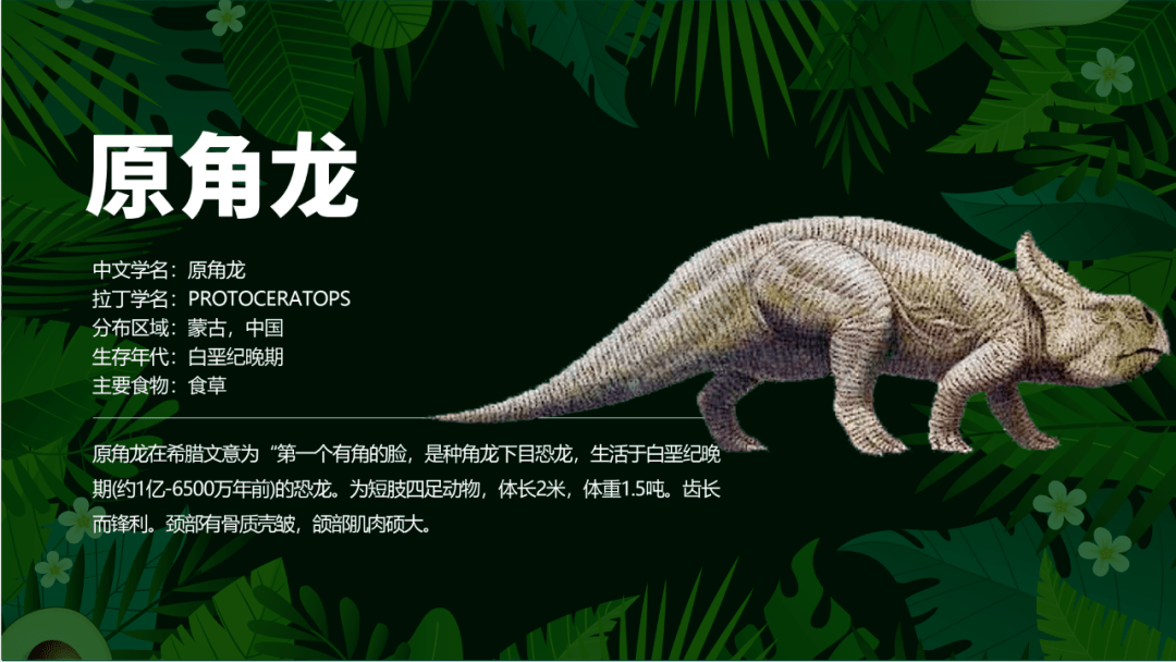 国贸为您呈现恐龙科普场景免费文旅创新体验