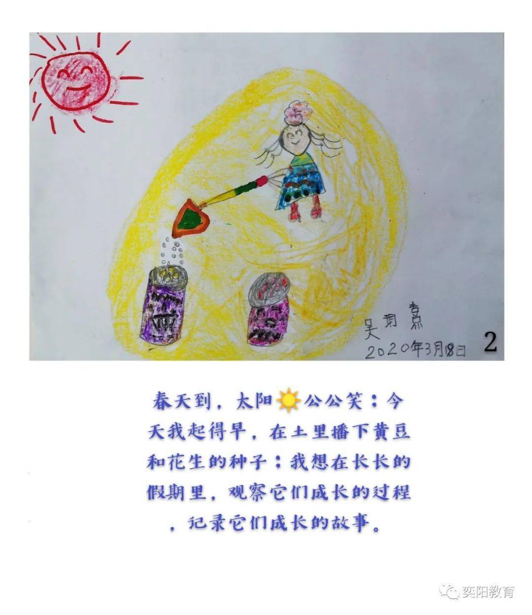 种子成长的故事第十六届儿童自制图画书大赛作品展之七