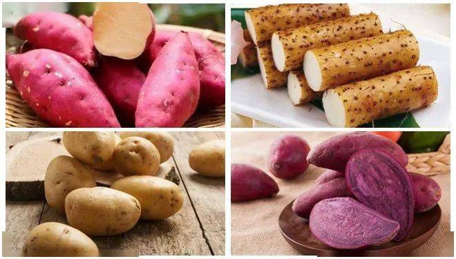 "这里的根就包括红薯,紫薯,山药,土豆等薯类食物.