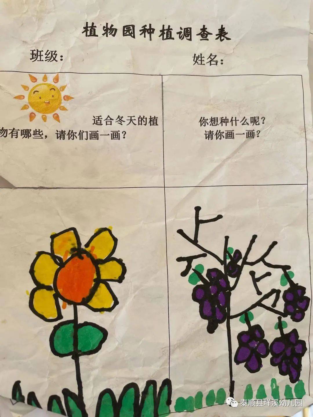 植物种子调查表图片