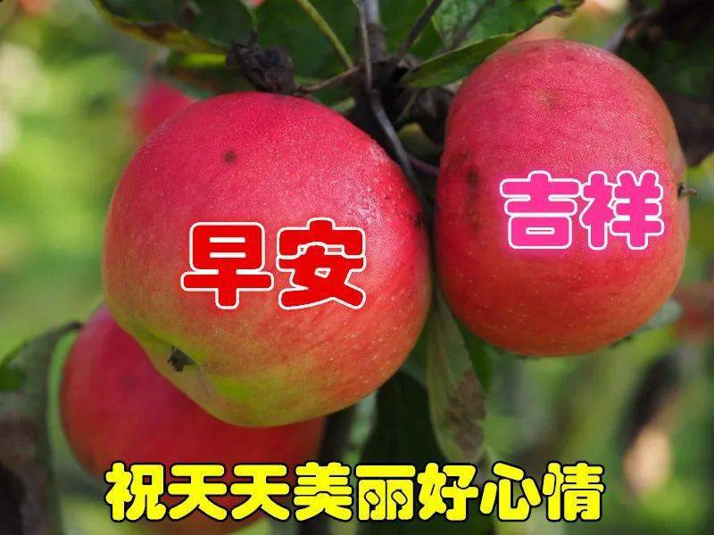 早安2021最新圖片 朋友早上好圖片