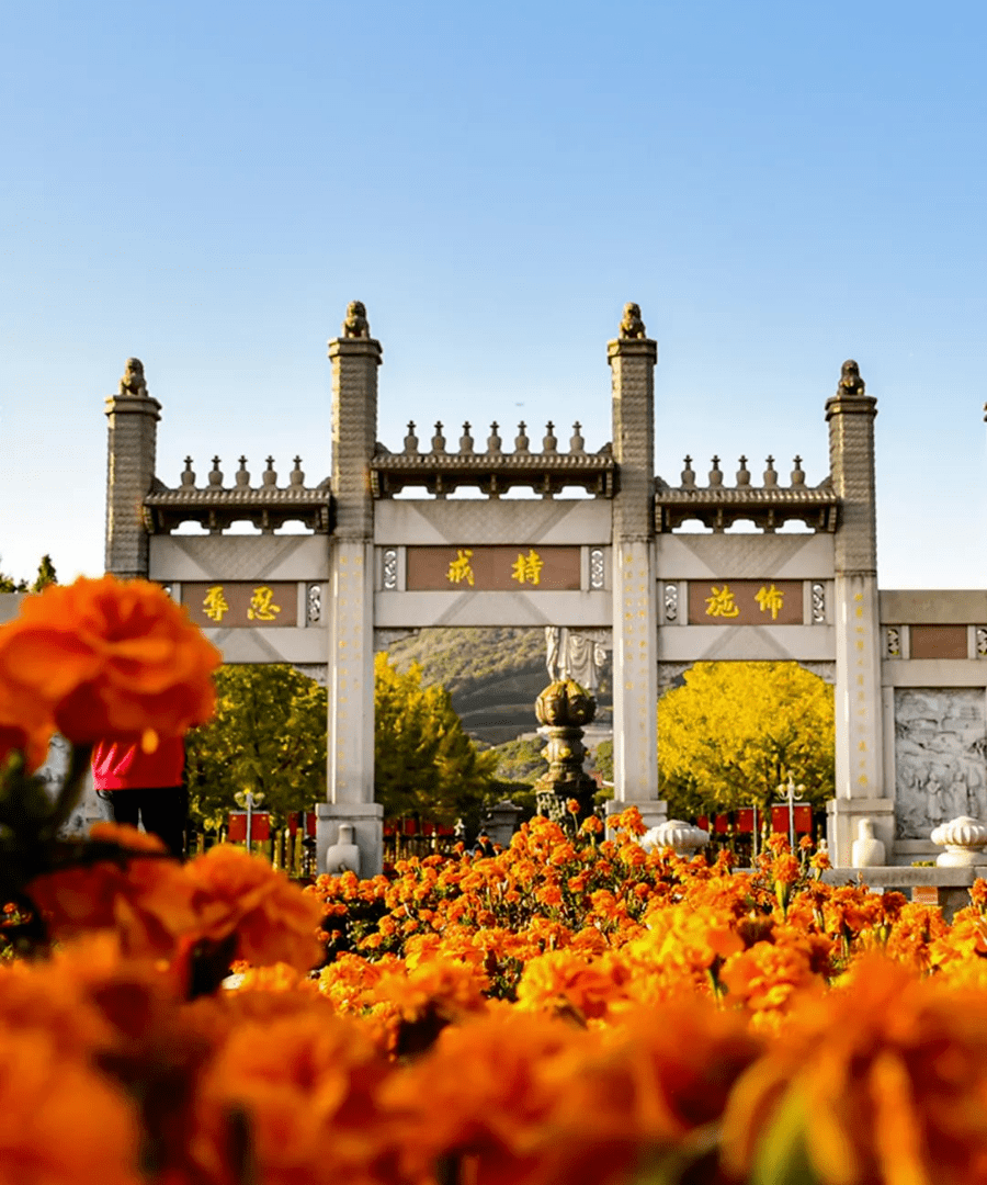 这个冬天,好想和你去马山走一走