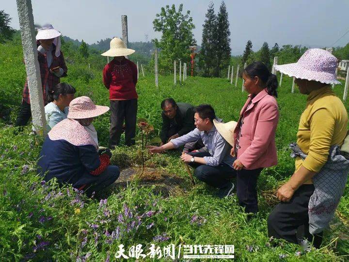 我的扶贫故事90后扶贫干部的闯劲与担当丨大方县凤山乡银川村扶贫干部