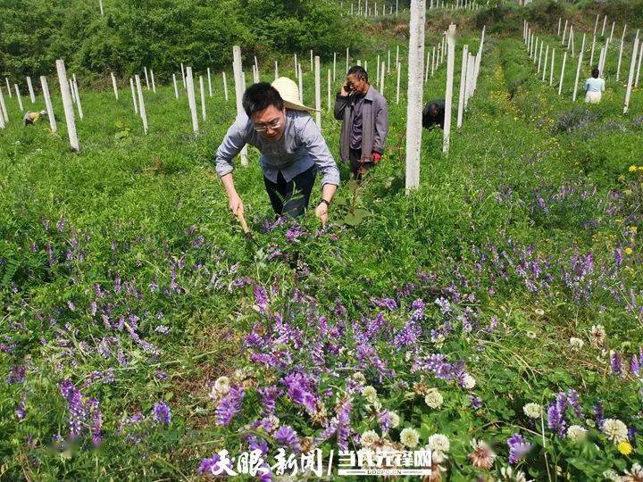 我的扶贫故事90后扶贫干部的闯劲与担当丨大方县凤山乡银川村扶贫干部
