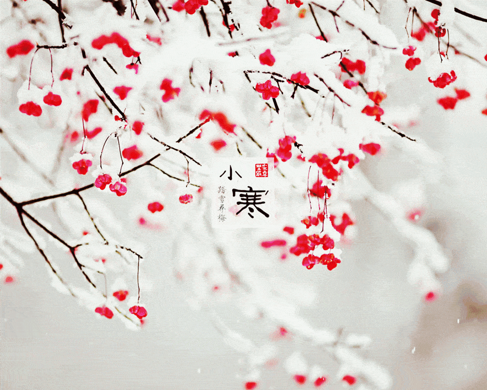 1000_800gif 动态图 动图