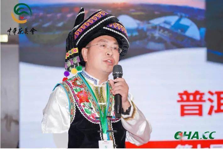县长说茶云南普洱市景东县副县长演讲