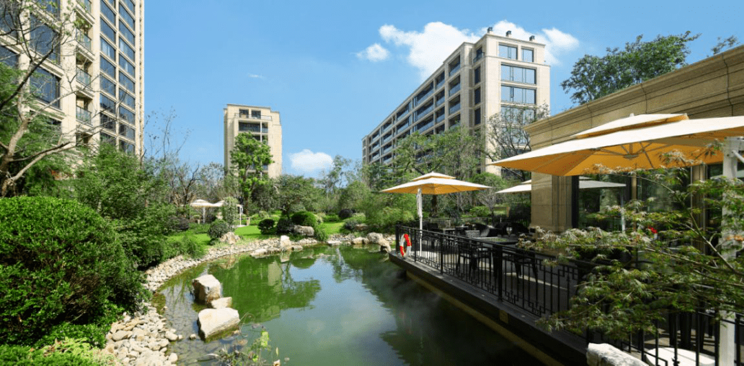 十年理想为序宋董为长兴再造一座兰园