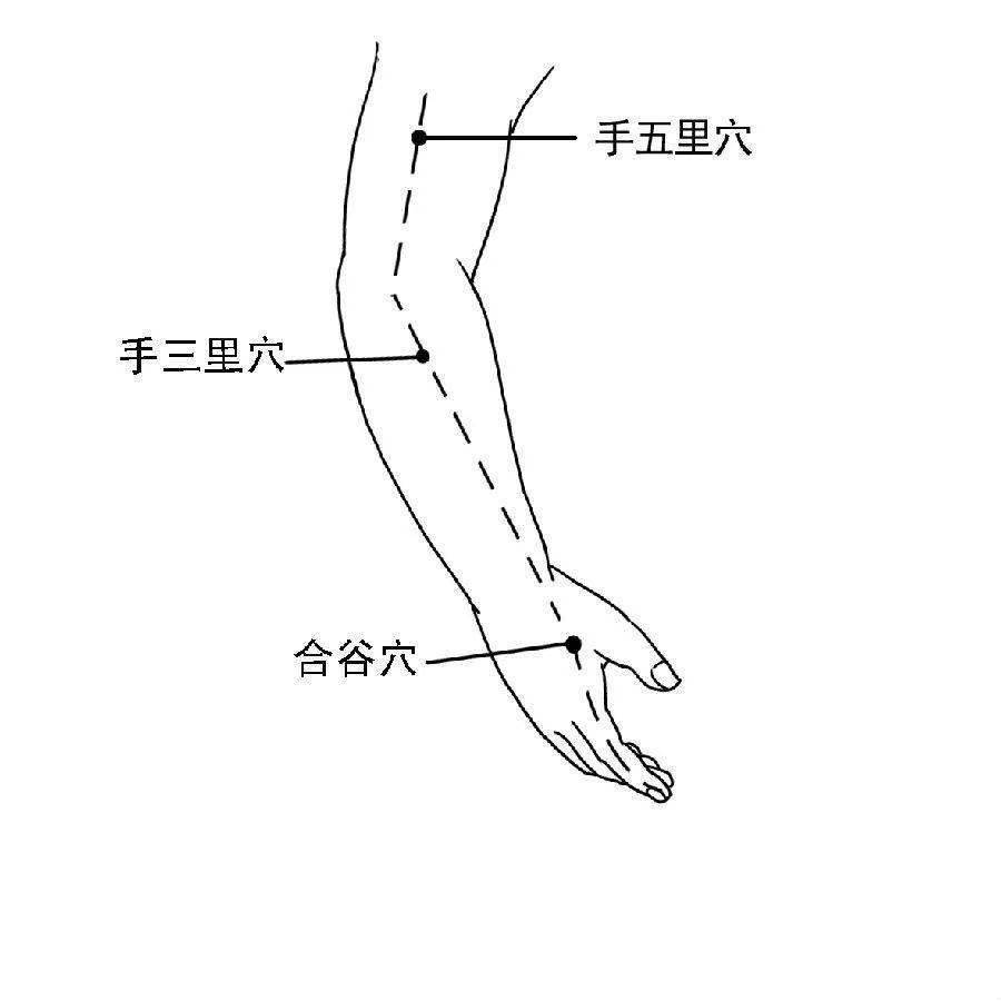 手部大肠经的位置图片图片
