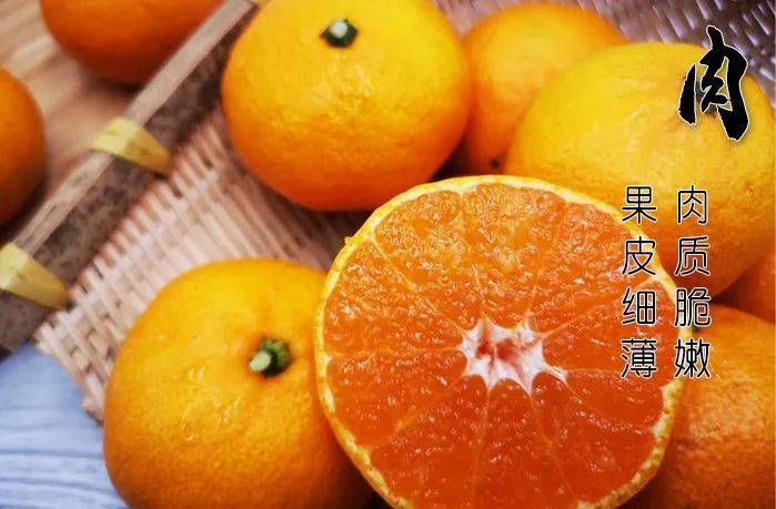 长期吃小蜜桔的好处(长期吃小蜜桔的好处与坏处)
