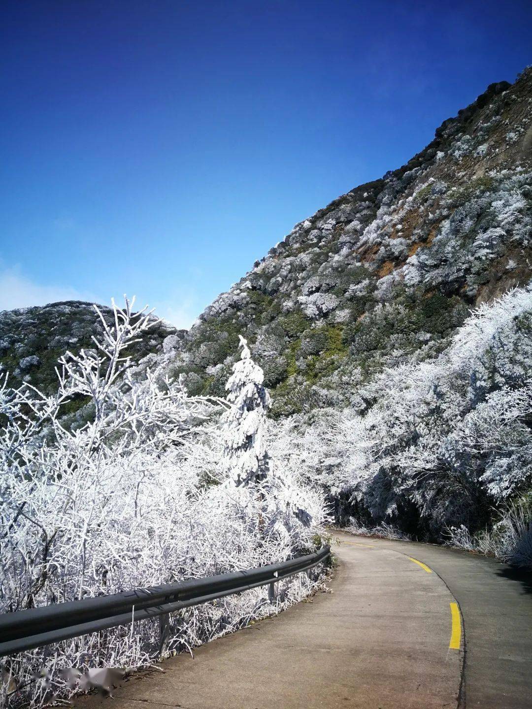 街坊们:一起去广东第一峰看雪吧!