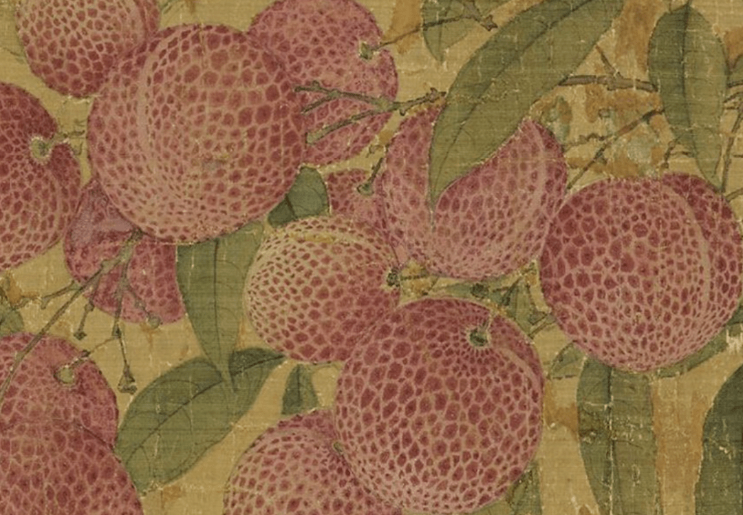 一骑红尘妃子笑看看宋徽宗笔下的荔枝图