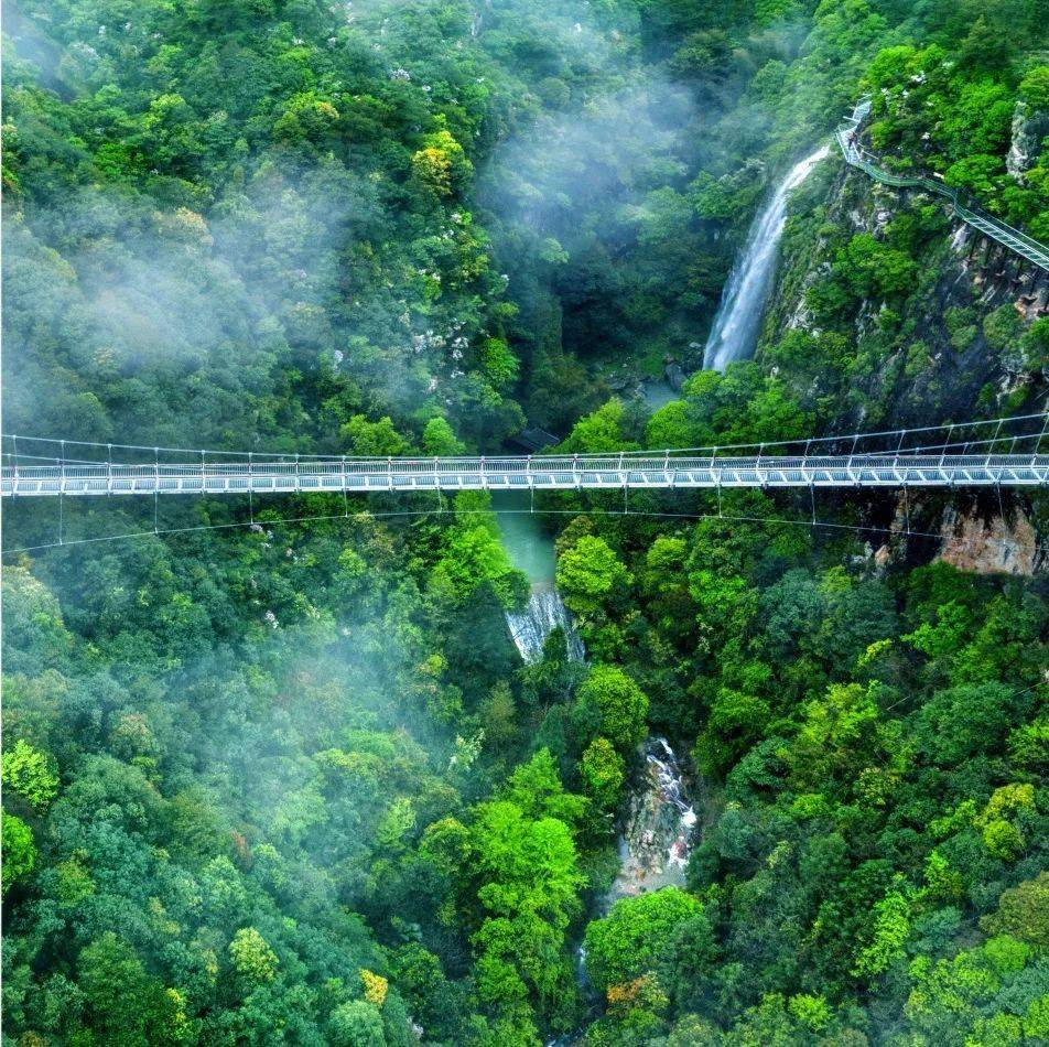 浙江龙泉旅游图片