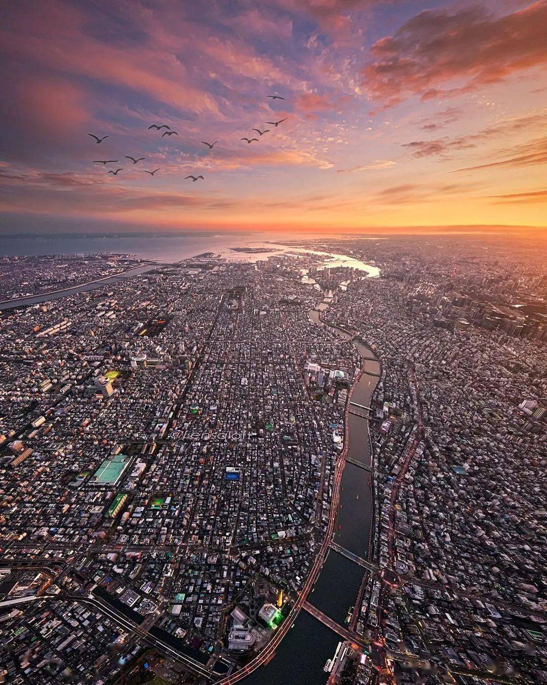 荐读从天空中看城市是什么感觉