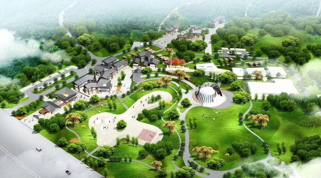 休闲草坪批发市场在哪