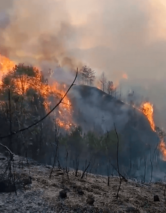 广东梅州梅县突发山火,浓烟滚滚遮天蔽日!网友:一定要注意安全!
