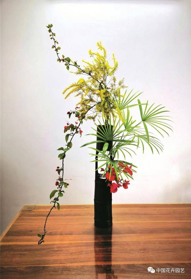 中式插花艺术手法——赋,比,兴 | 动态