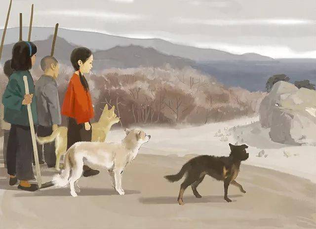 文学大师曹文轩催泪之作疯狗浪孩子的文学启蒙之书