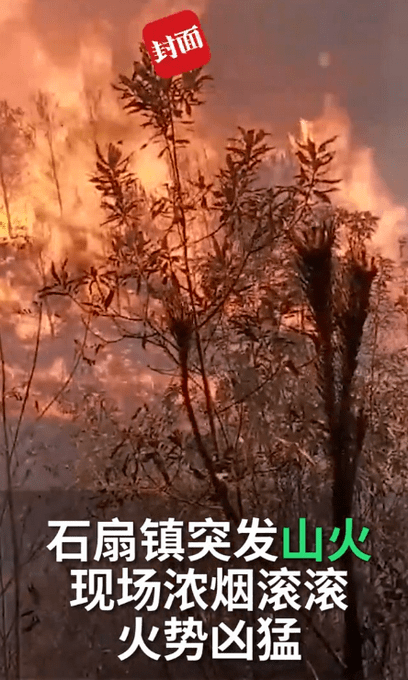 广东梅州梅县突发山火图片