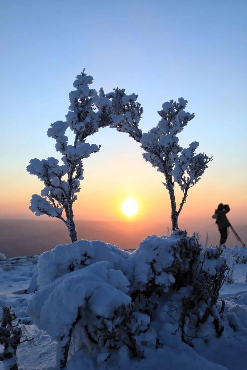 北国风光 冬恋阿尔山——访高级工程师章朝旭_摄影