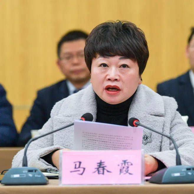 宣汉县委马春霞常委介绍了宣汉县县情与卫生健康事业发展情况.