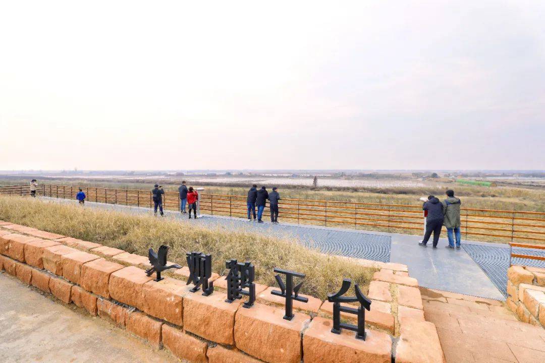 鹤汀凫渚乐彼之园南昌高新区白鹤小镇打造精神的原乡