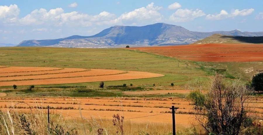 南方某矿区土壤镉污染及作物健康风险研究